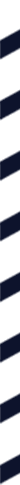 services-shape